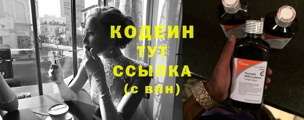 крисы Богородицк