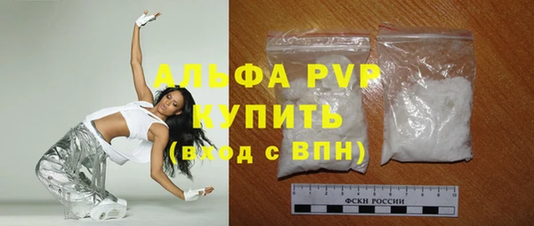 прущие грибы Богданович