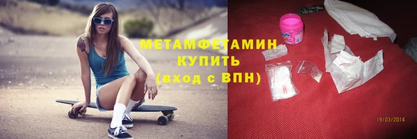 прущие грибы Богданович