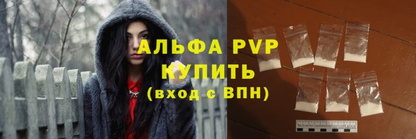 прущие грибы Богданович