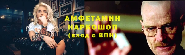 прущие грибы Богданович