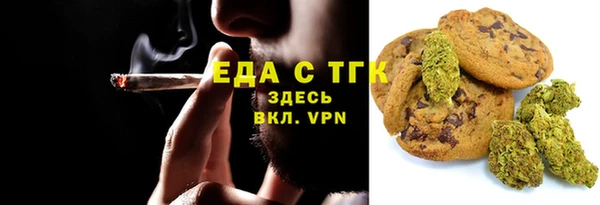 крисы Богородицк