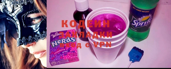 крисы Богородицк
