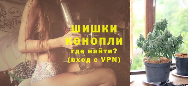 прущие грибы Богданович