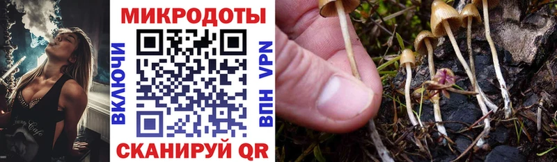 Галлюциногенные грибы Magic Shrooms  Горняк 